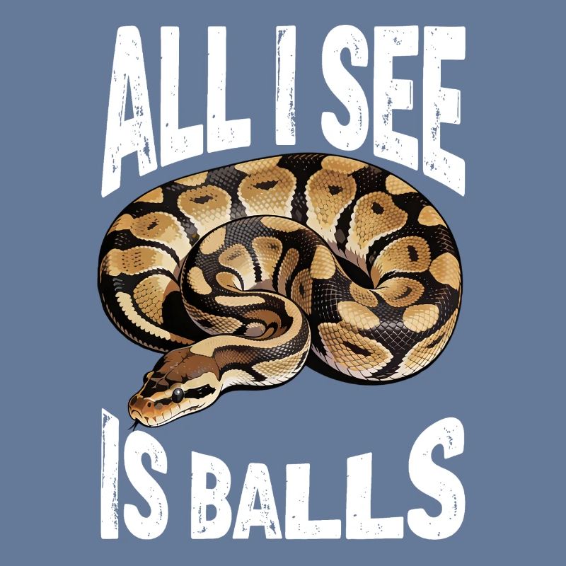 Python roi Serpents Amateurs de terrarium Python