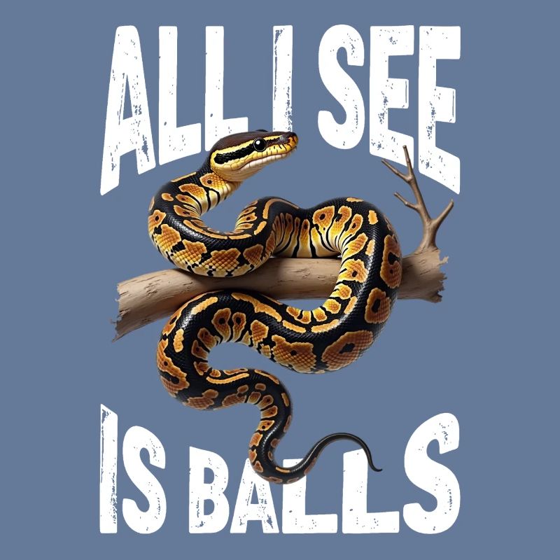 Königspython Schlangen Liebhaber Terrarium Python