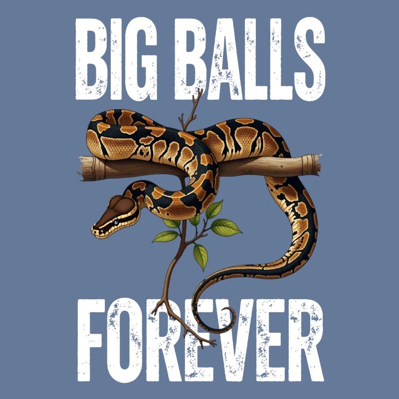 Python roi Serpents Amateurs de terrarium Python