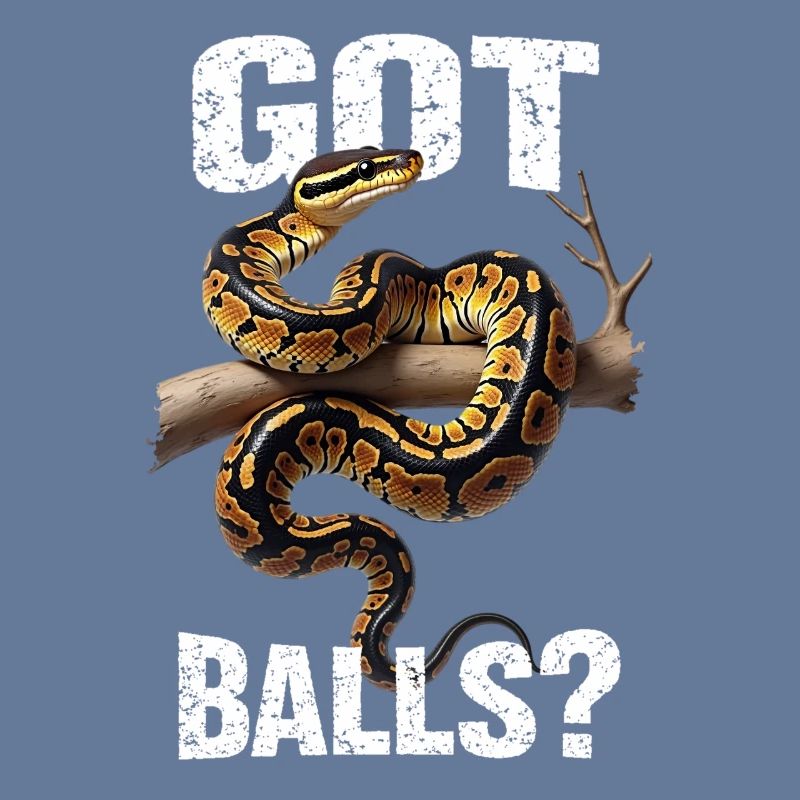 Python roi Serpents Amateurs de terrarium Python