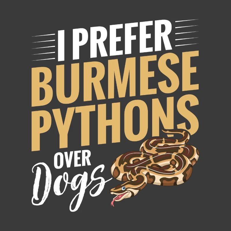 Python birman Stuff Reptile Foos Propriétaire de serpent