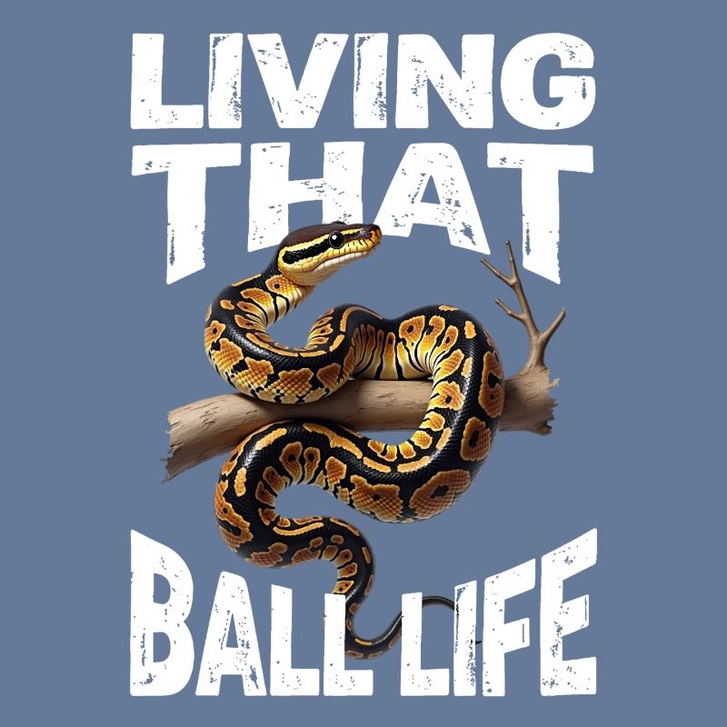 Python roi Serpents Amateurs de terrarium Python