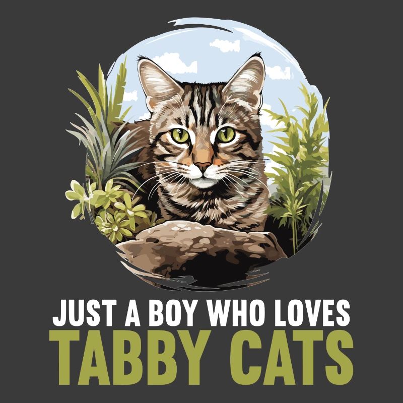Tabby Kätzchen Tabby Katze
