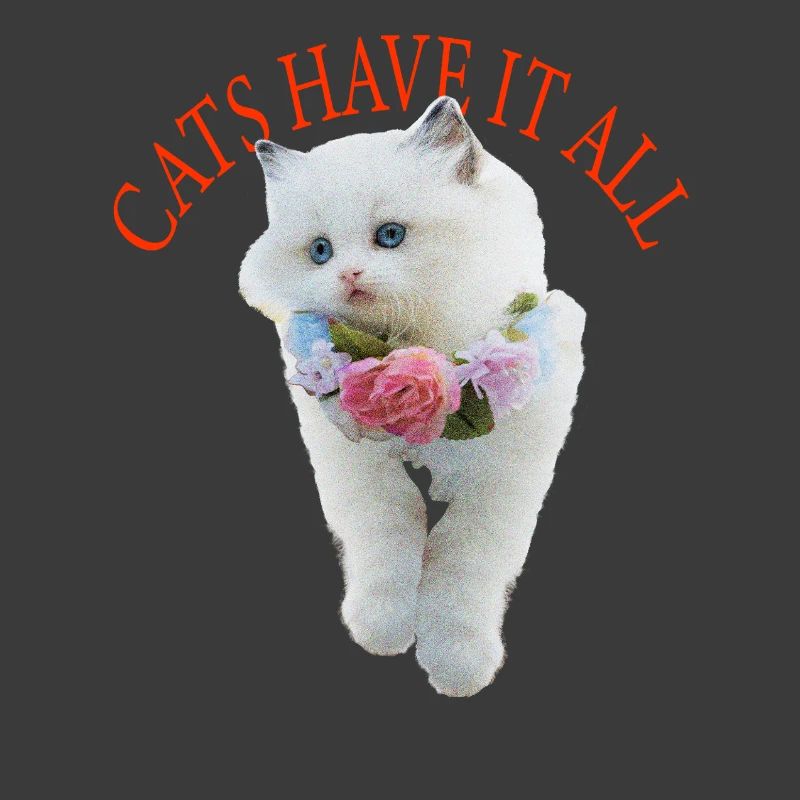 Sassy Cat