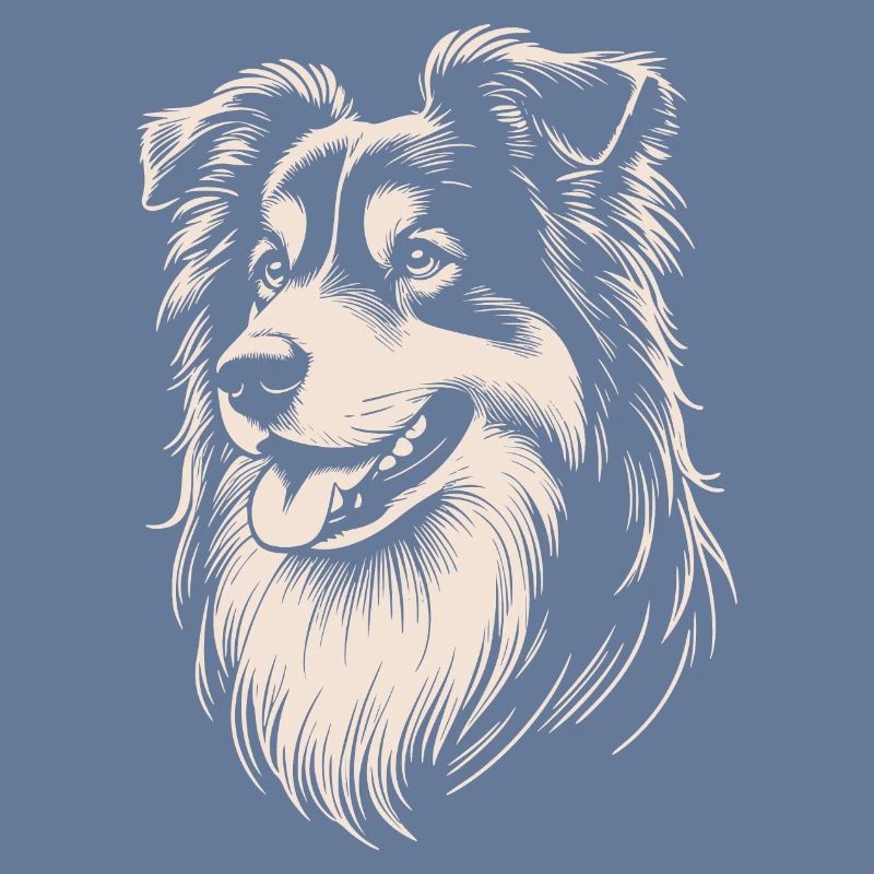 Australian Shepherd Features