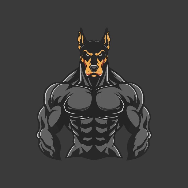 Doberman Chien Muscles Musculation