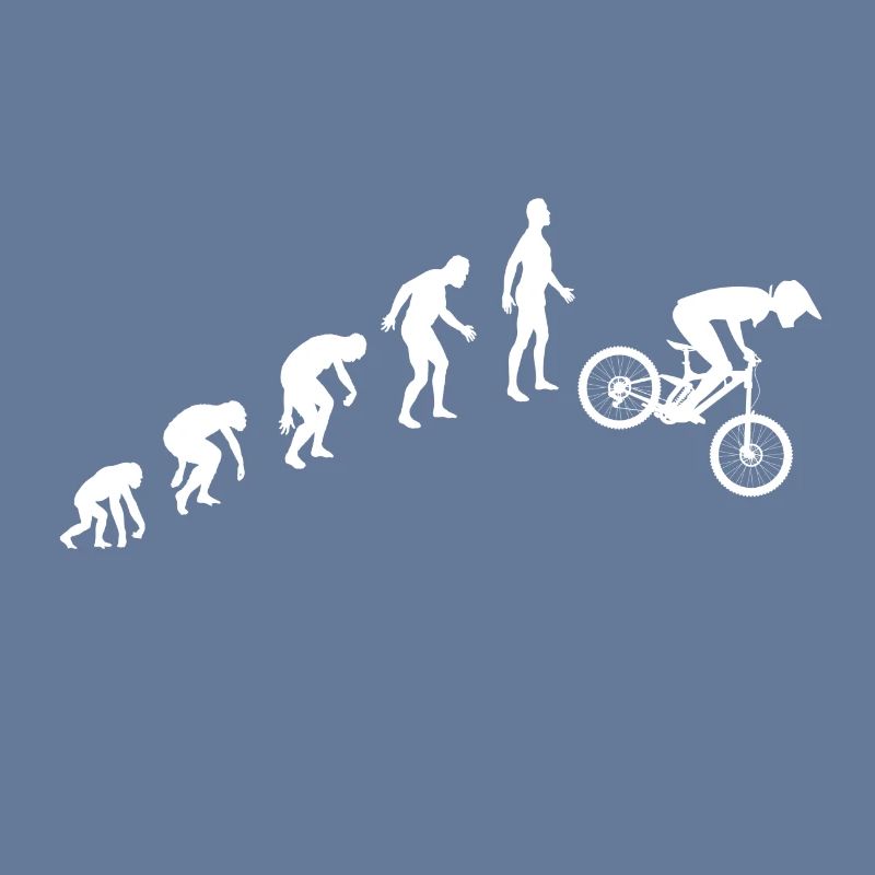 Evolution de la descente