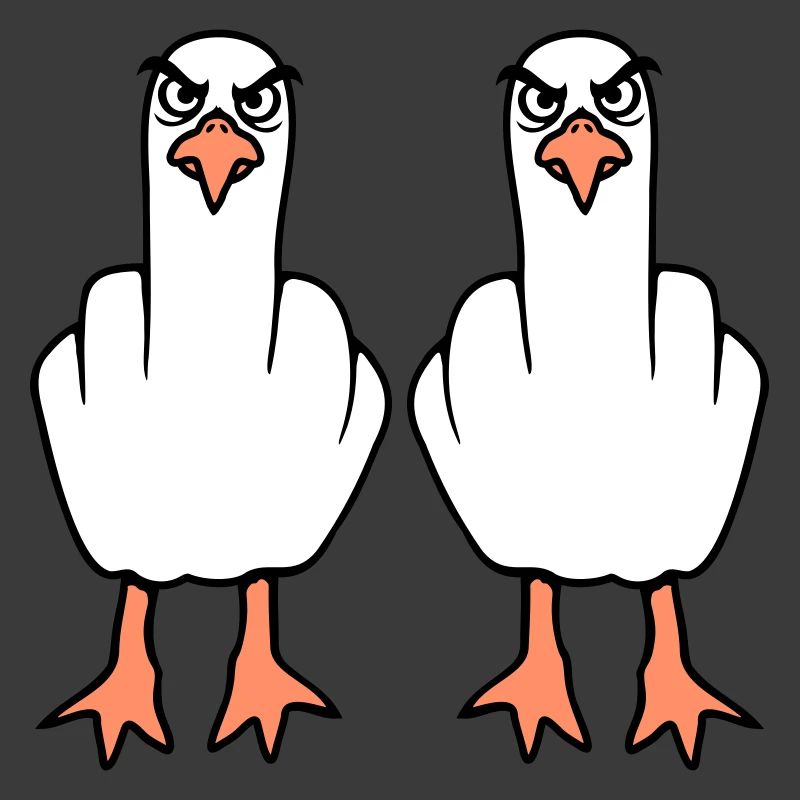 2 Seagulls Doigt d’honneur Insulte Stinkfinger Équipe