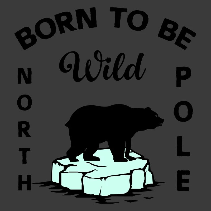 Ours polaire Wilderness Antarctique