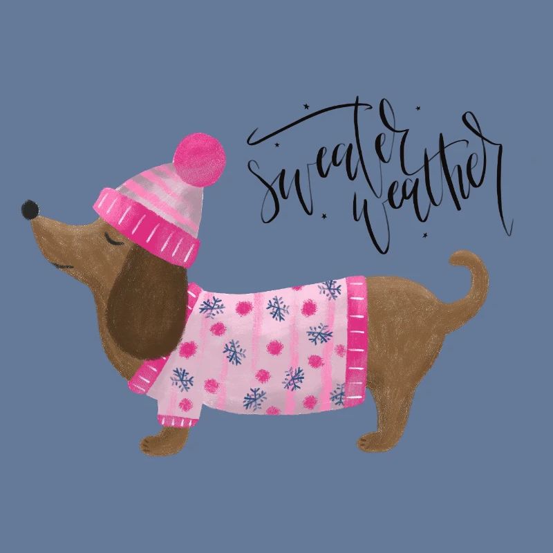 Teckel avec pull et chapeau Pull Météo rose