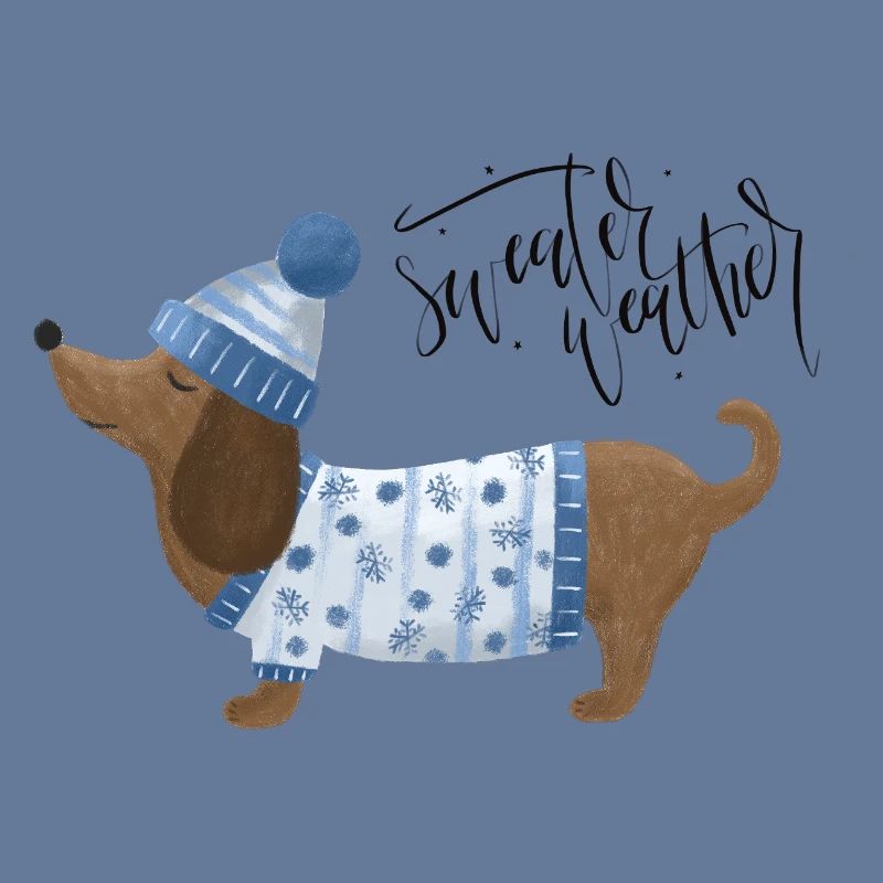 Teckel avec pull et chapeau Pull Météo bleu