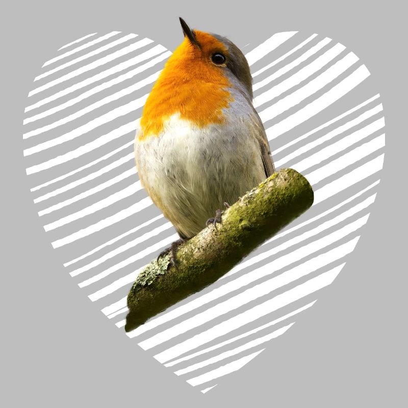 Robin Songbird
