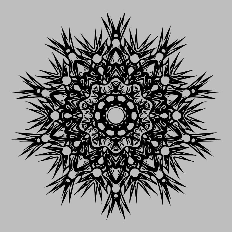Geometric lines mandala shape
