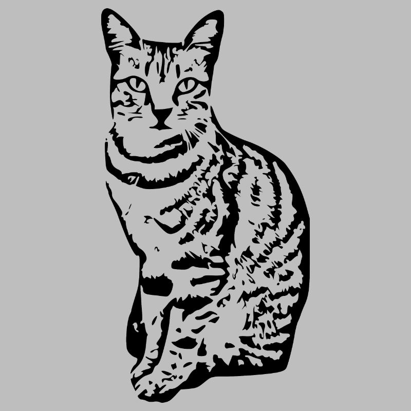 Chat Chaton Tigre Chat Chat Chat Cadeau