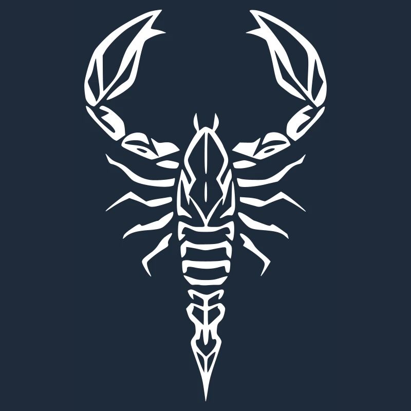 Scorpion Graphic Icon Drawing Vector