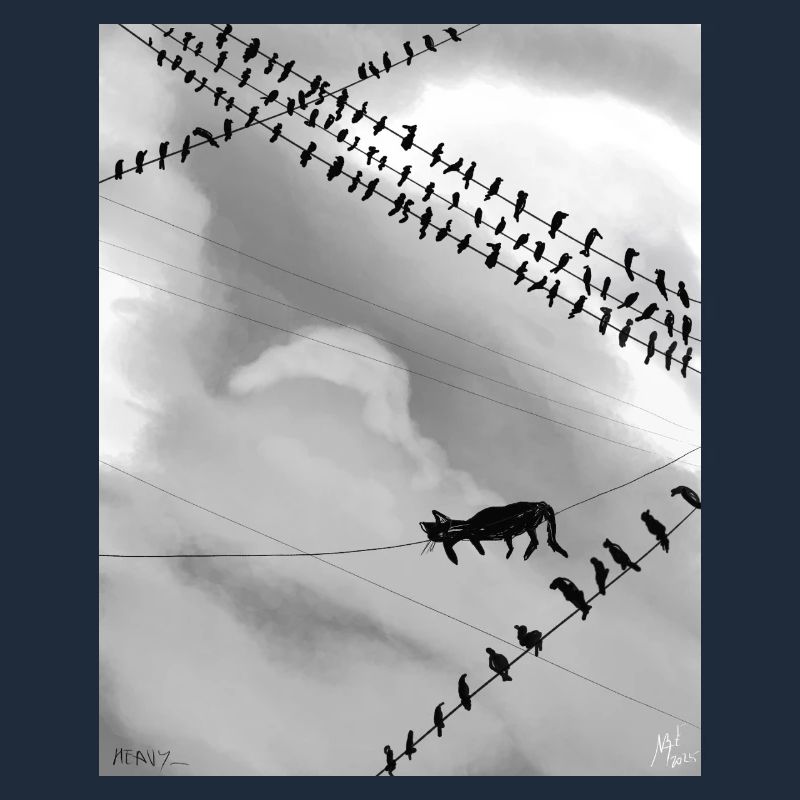 Chat monochrome sur lignes électriques