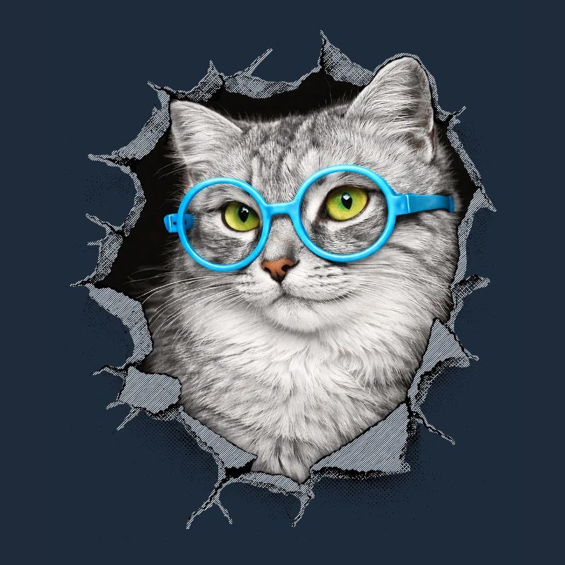 Chat mignon – Arts techniques mixtes Blue Glasses