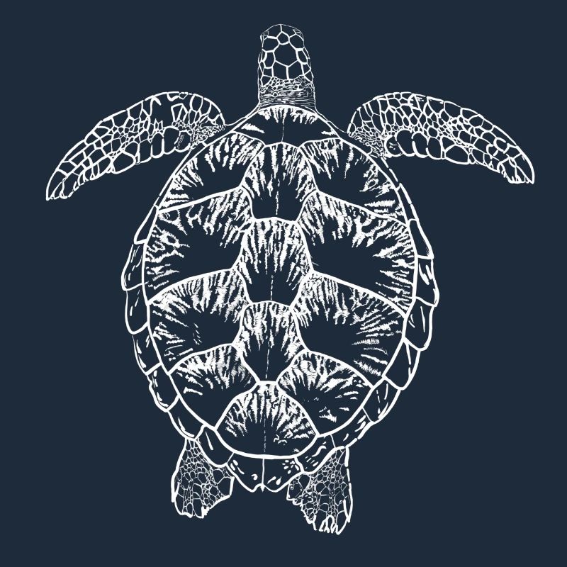 Turtle white2
