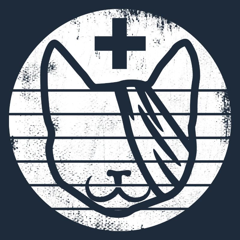 First aid for cats