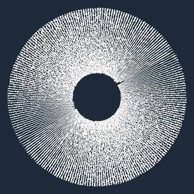 Iris Ringburst Radial Pattern