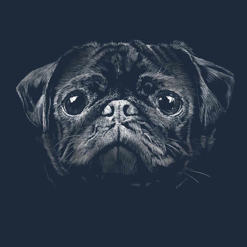 Mops