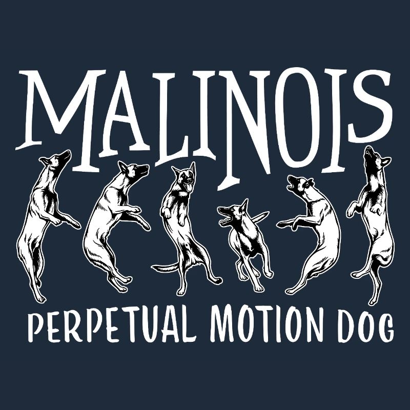 Belgian Malinois Perpetual Motion Dog