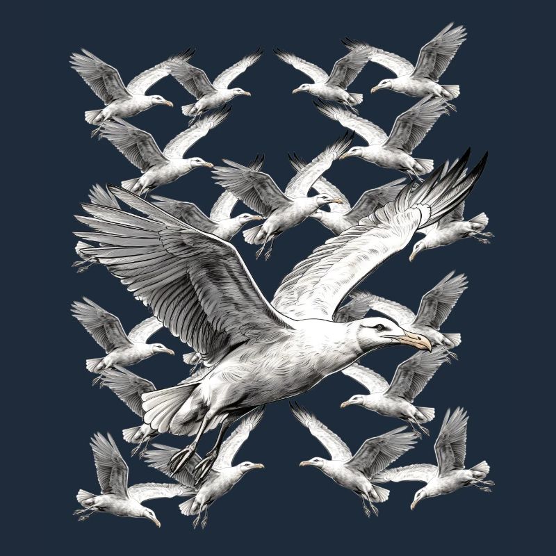 Seagull Seagulls Maritime