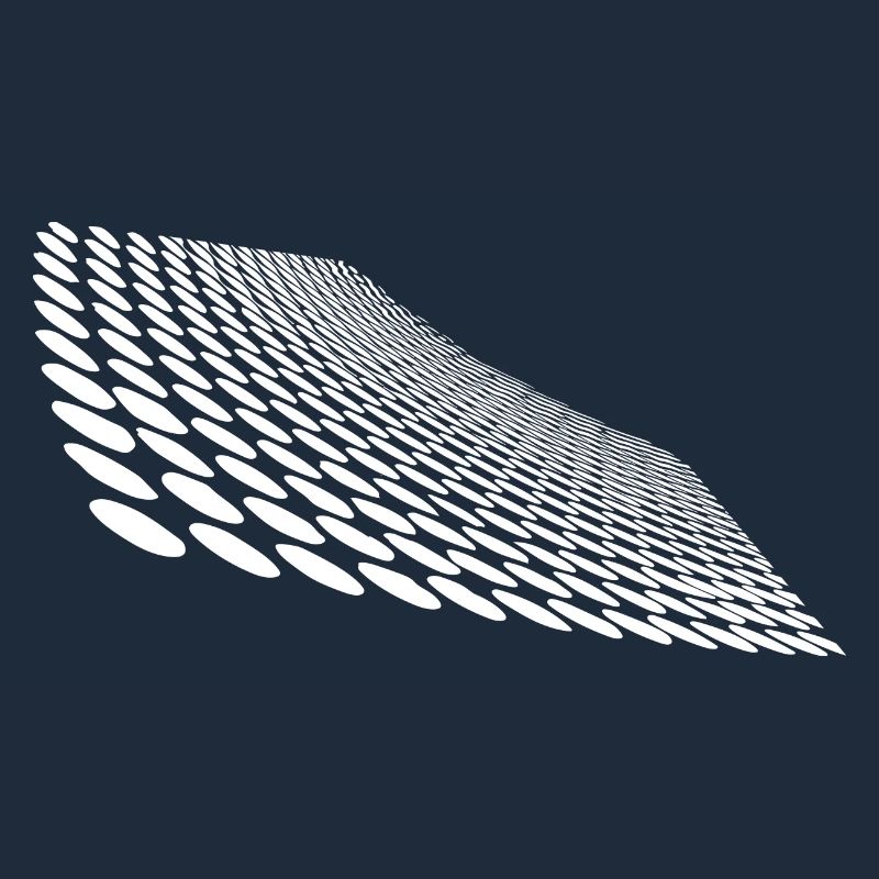 Geometric points on curved horizon surface