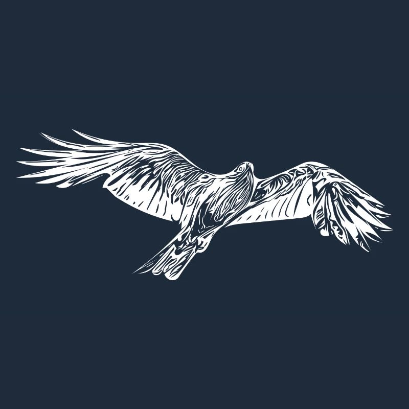Elegant flying hawk
