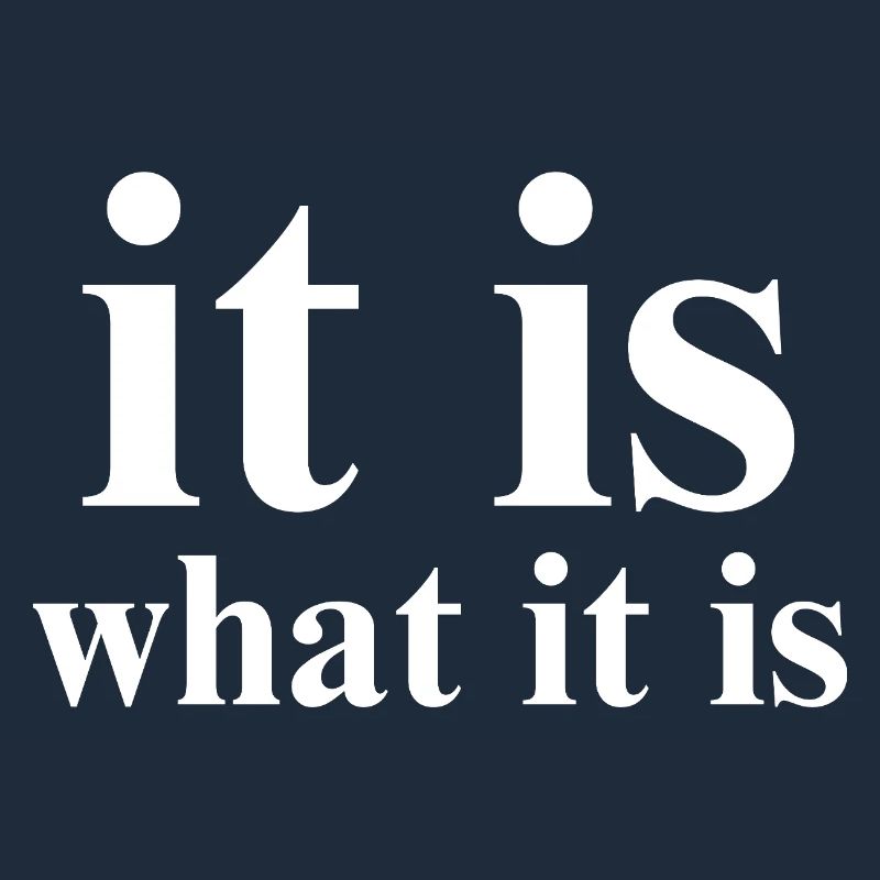 it is what it is
