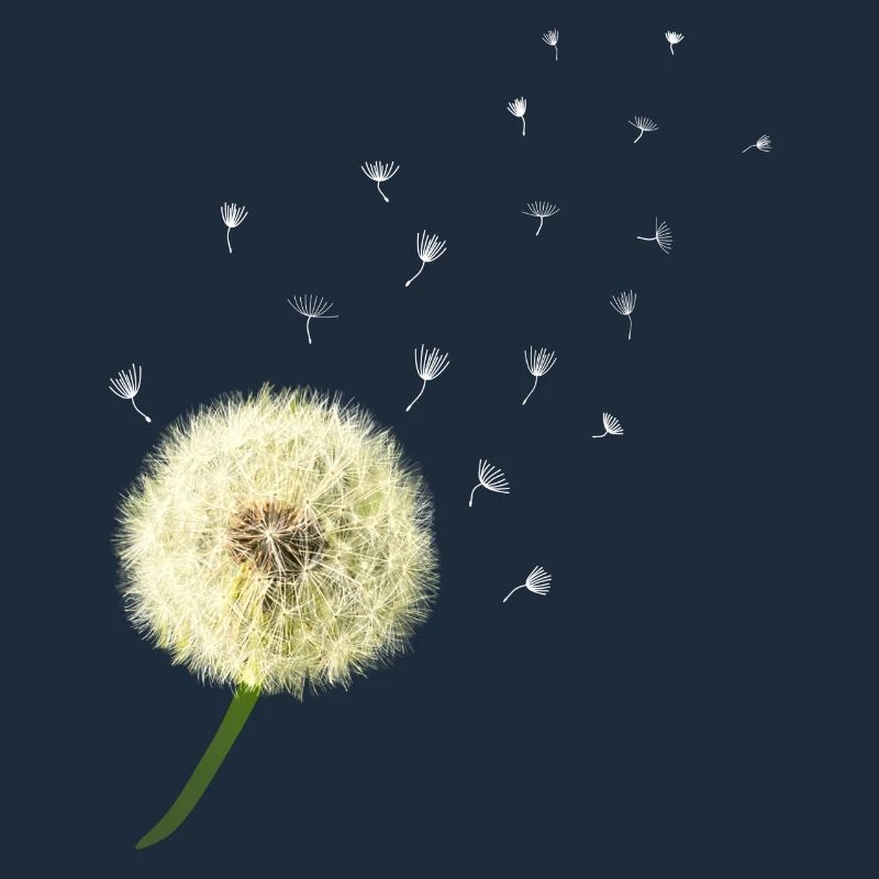 Dandelion wish you something