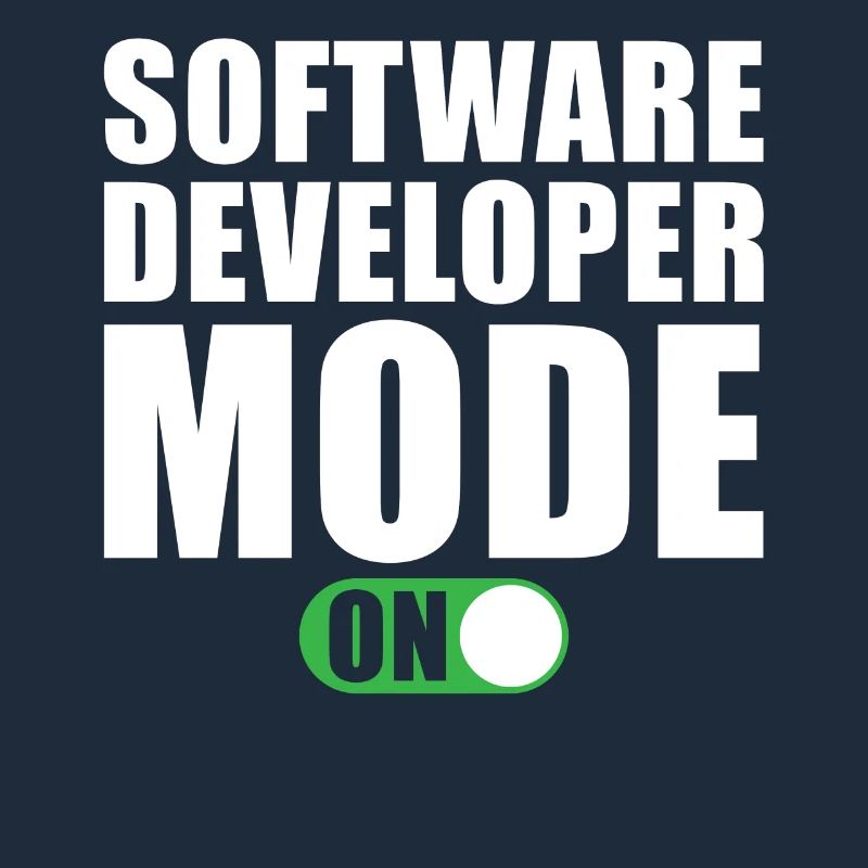 Software Entwickler Modus Ein
