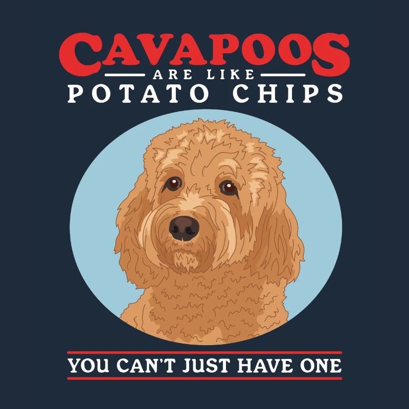 Cavapoo Hund Cavoodle Hundebesitzer Geschenk