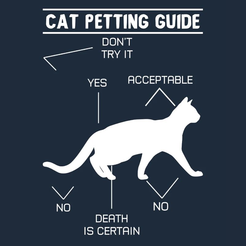 Guide de caresses pour chat
