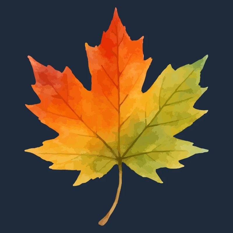 Leaf Maple Leaf Watercolor 1
