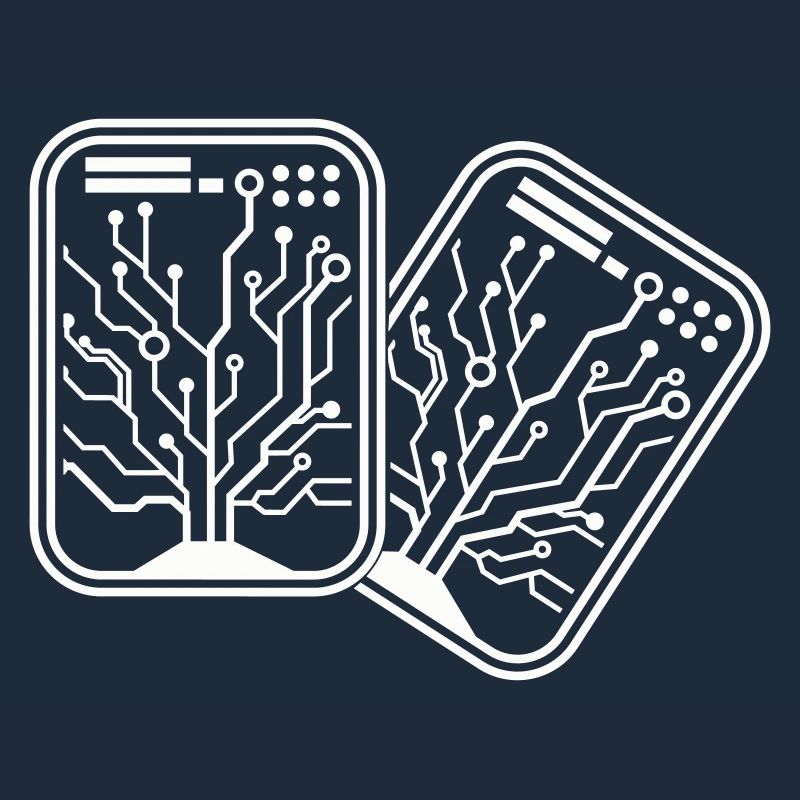 micro chip 2
