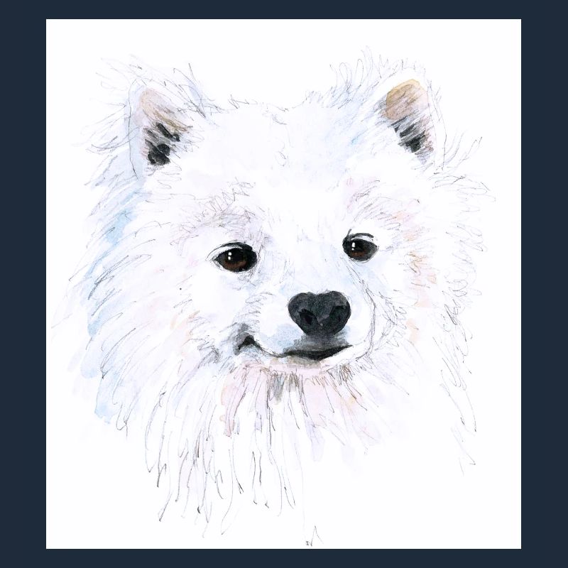 Junger Samojede - Portrait Handgezeichnet Aquarell