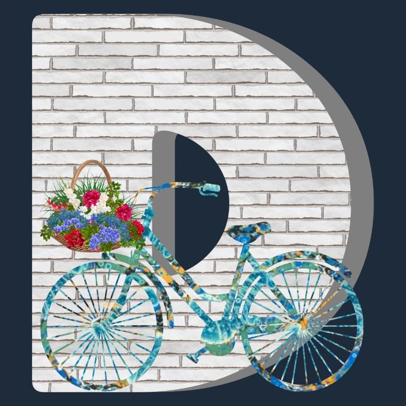 bicycle e 100 d