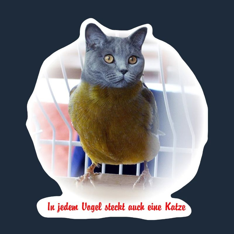 Katzen Vogel Poster