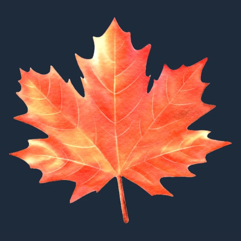 Maple Leaf Colorful Colors Maple Tree Forest Warm