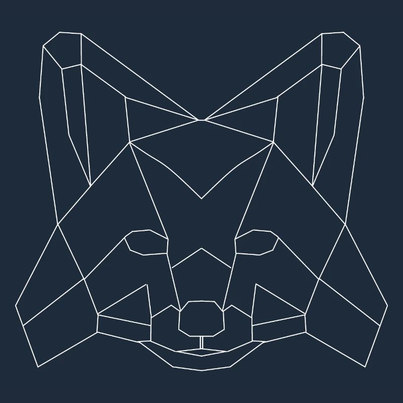 Fuchs polygons white