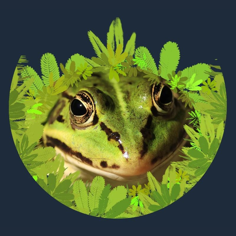 Frog King Prince Tree Frog