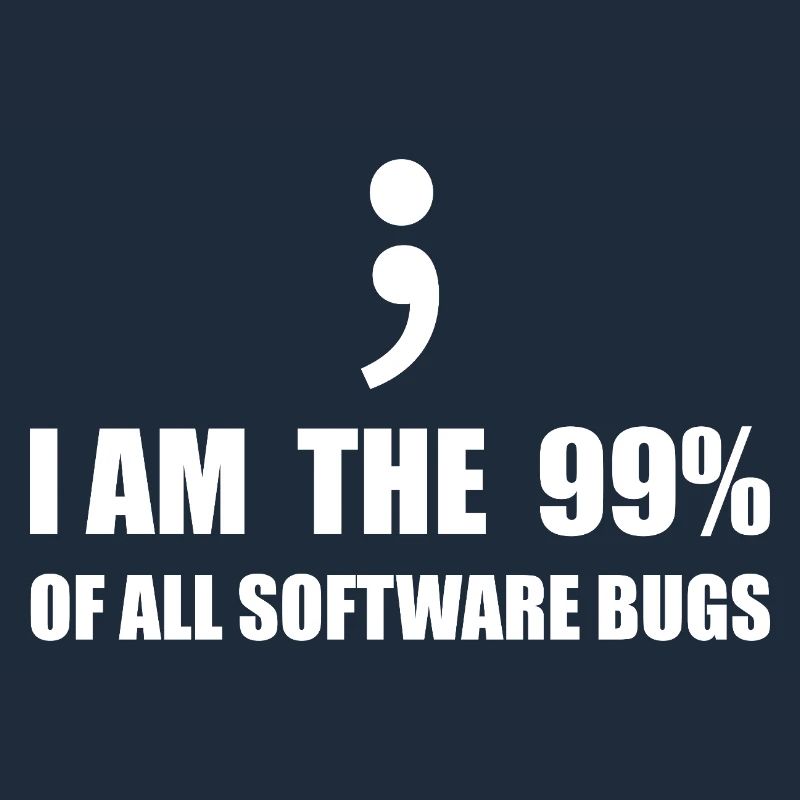 Programmeur Computer Scientist