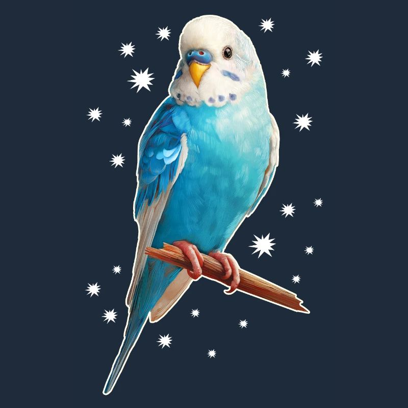 Budgie Stars