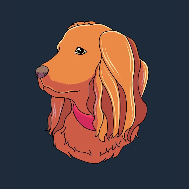 Boykin Spaniel