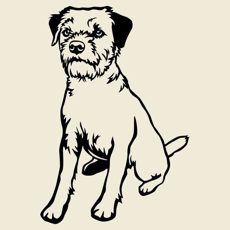 Border Terrier