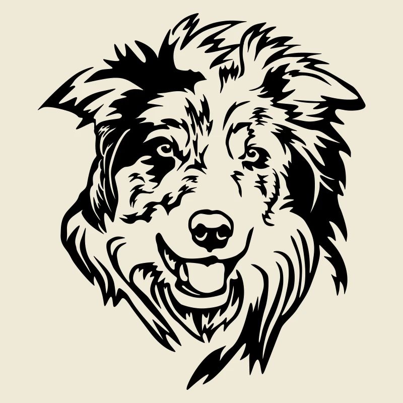Border Collie Kopf