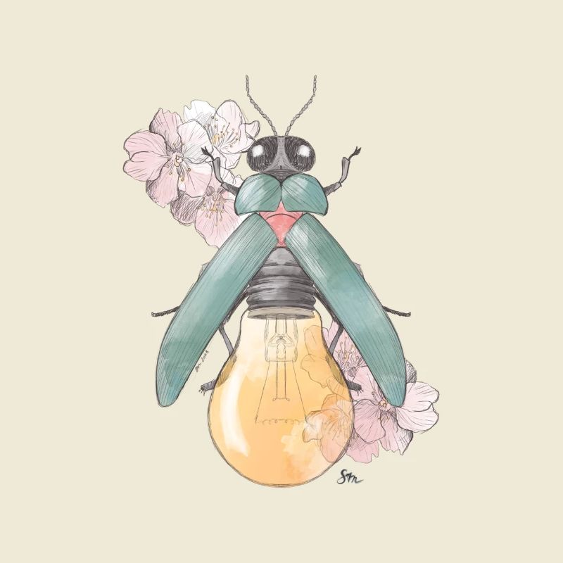 Pear | Flowering | Beetles