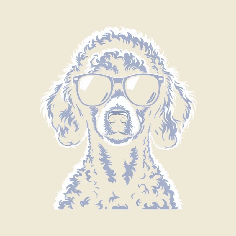 Caniche blanc