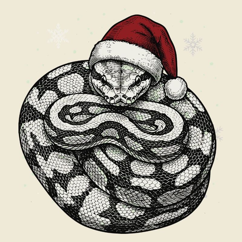Serpent roi python roi de Noël Python boule